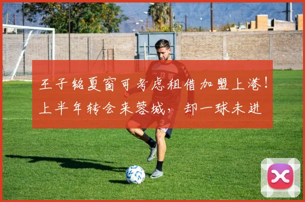 王子铭夏窗可考虑租借加盟上港!上半年转会来蓉城,却一球未进