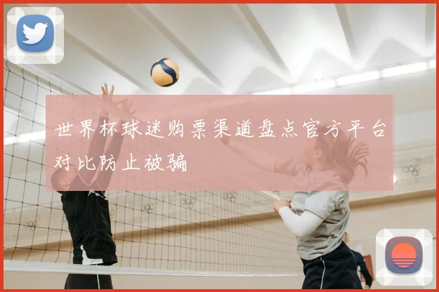 世界杯球迷购票渠道盘点官方平台对比防止被骗