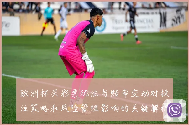 欧洲杯买彩票玩法与赔率变动对投注策略和风险管理影响的关键解析