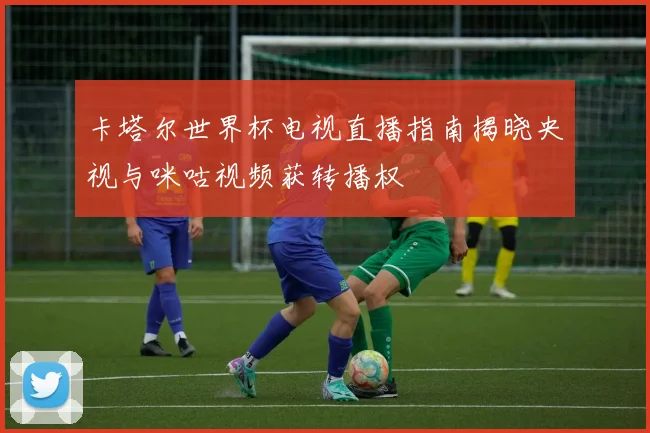 卡塔尔世界杯电视直播指南揭晓央视与咪咕视频获转播权