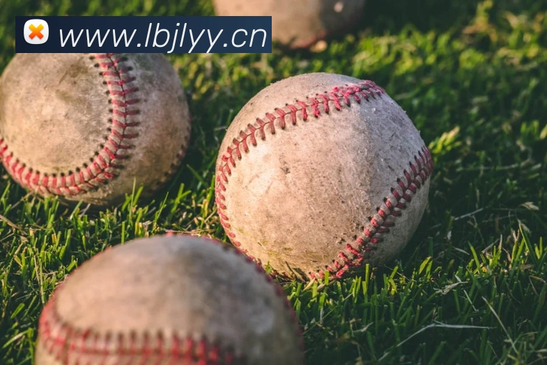 emc易倍官网平台生态图